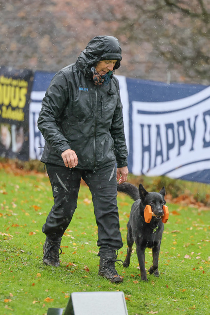 2025_Rally_Obedience_SM-147 | Ich fotografiere Hundeausstellungen, Sportanlässe, Zuchtstätten, Hundezucht, Hundeportrait, Lagotto - Realisiert mit Pictrs.com