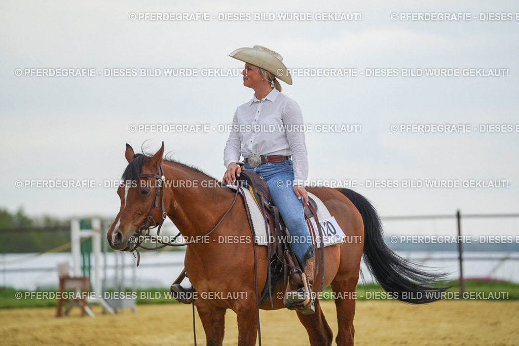 DSC08274 | Pferdegrafie