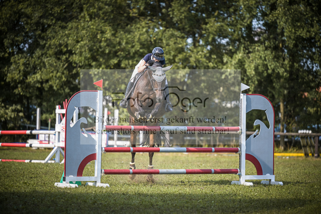 DOS_0736 | Entdecke hochwertige Reitturnierfotos von Foto Oger. Professionell, emotional und authentisch – jetzt Lieblingsmomente im Shop bestellen.Deutschlandweite Turnierfotografie. - Realisiert mit Pictrs.com