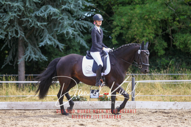 DKP46051 | Turniersportfotografie; Pferdefotografie; Dressurfotografie