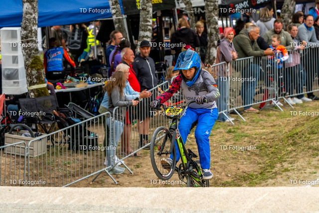 BayBMX2026-05563 | Fotogalerie von Thomas Dettweiler mit Eventbildern und lizenzfreien Fotos. Perfekt als Wandbild, für Büro, Website oder private Nutzung. - Realisiert mit Pictrs.com