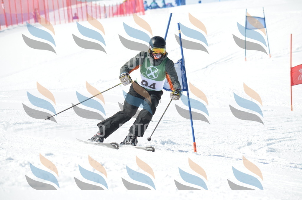 D9091 | holidayphoto