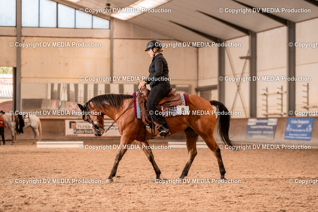 LM Heiligenwald Tag 1-1332 | dv-media-shop - Realisiert mit Pictrs.com