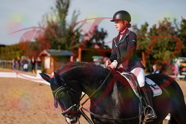 2026_10_03_Siefer-Hof_121715_Z63_41296385 | Professionelle Reitsport-, Turnier- und Eventfotografie von Robert Broda. Galerien mit ausgewählten und bearbeiteten Bildern direkt online ansehen und bestellen.