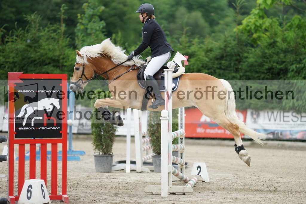 DSC07625 | equestrian-live-com