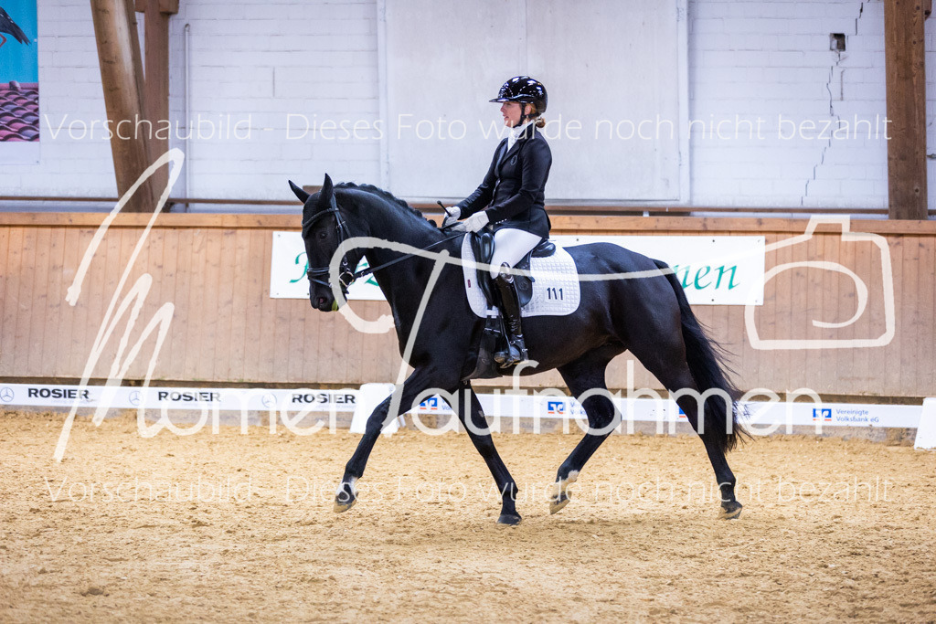 Sth-A-Dre-2St-136 | MomenTaufnahmen Pferdesportfotos