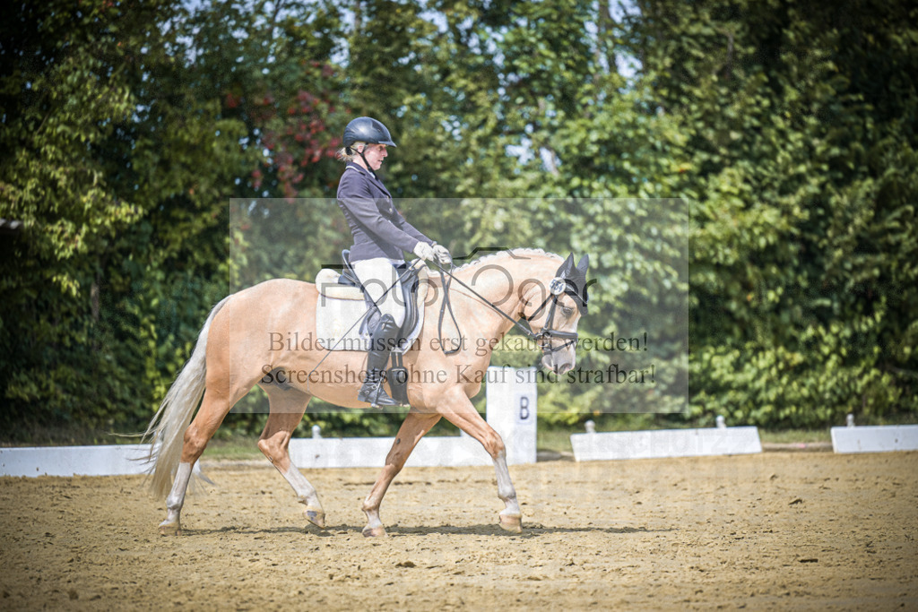DOS_3951 | Entdecke hochwertige Reitturnierfotos von Foto Oger. Professionell, emotional und authentisch – jetzt Lieblingsmomente im Shop bestellen.Deutschlandweite Turnierfotografie. - Realisiert mit Pictrs.com