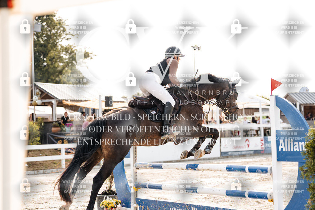 CK906561 | Turnierfotografie Pferdefotografie Trier Rheinland-Pfalz Pferdesport Reitsport Tierfotografie Sportfotografie Pferdevideo Pferdevideografie Equestrianvideography equestrianphotography  - Realisiert mit Pictrs.com