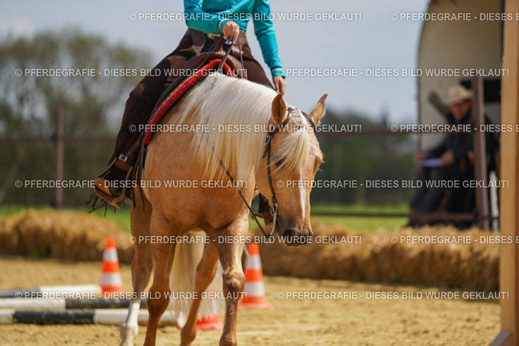 DSC05347 | Pferdegrafie