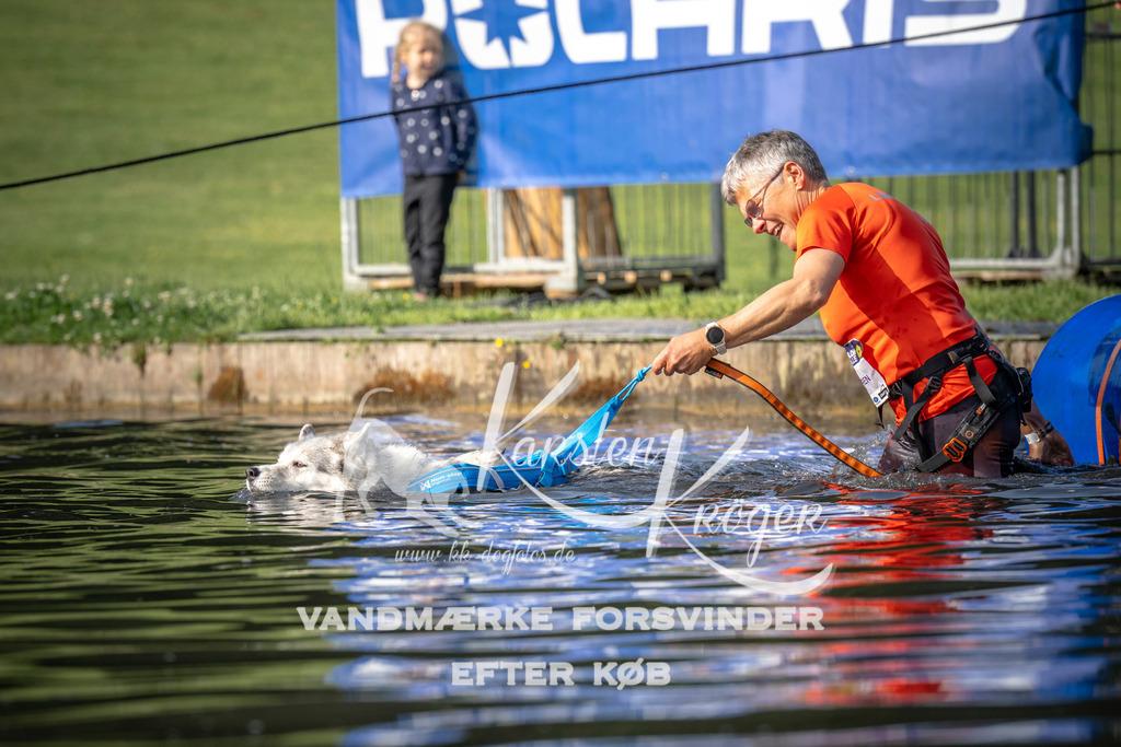 _ZZ940050710 | kk-dogfotos