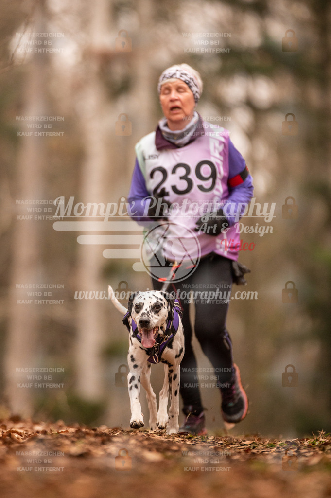 AKM_ST_2023_SAM_Run-121 | PayLife