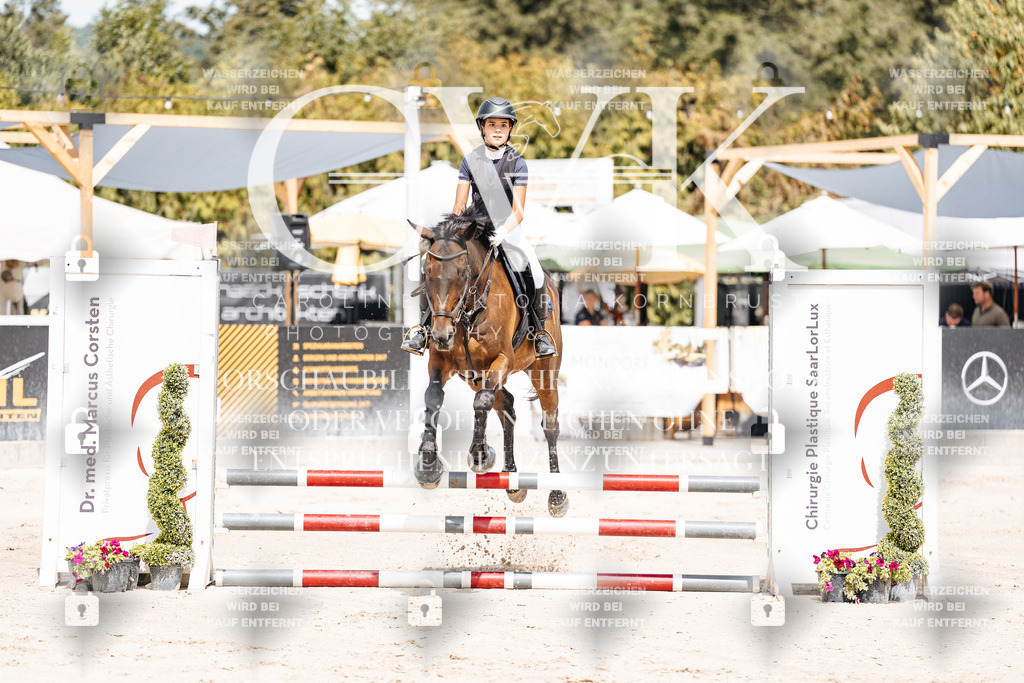 CK906253 | Turnierfotografie Pferdefotografie Trier Rheinland-Pfalz Pferdesport Reitsport Tierfotografie Sportfotografie Pferdevideo Pferdevideografie Equestrianvideography equestrianphotography  - Realisiert mit Pictrs.com