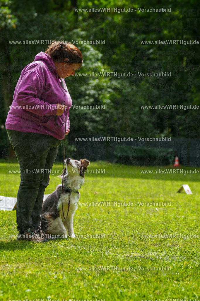 @allesWIRTHgut_Tierfotografie - www.allesWIRTHgut.de - 7R504909 | Professionelle Tierfotografie in Mönchengladbach von Daniel Wirth (allesWIRTHgut). Liebevolle & natürliche Bilder von Hunden & Katzen für unvergessliche Erinnerungen.