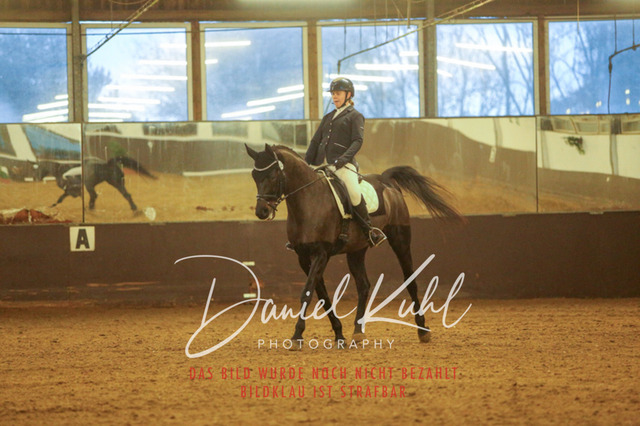 IMG_8310 | Turniersportfotografie; Pferdefotografie; Dressurfotografie