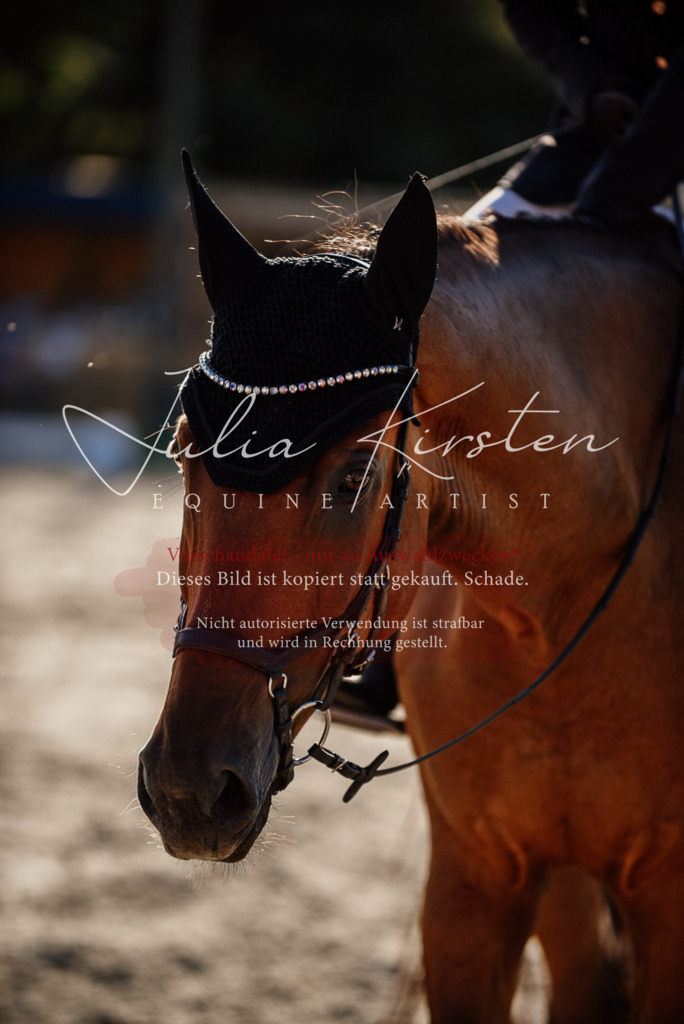 DSC_0699 | Pferde- und Turnierfotografie in Westsachsen. Pferdeportraits, Auftragszeichnungen und intuitive Kunst.