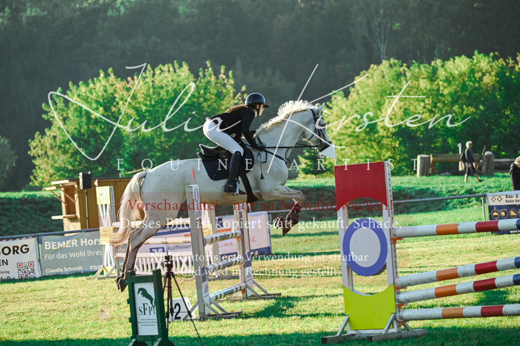 DSC_4036 | Pferde- und Turnierfotografie in Westsachsen. Pferdeportraits, Auftragszeichnungen und intuitive Kunst.