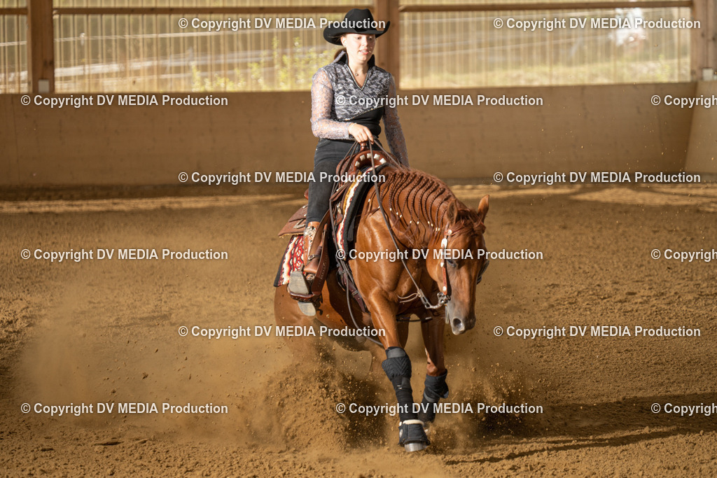 LAU01778 | dv-media-shop - Realisiert mit Pictrs.com