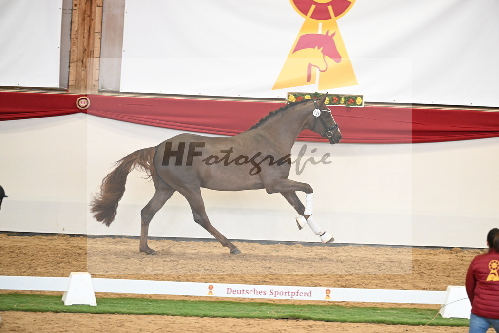 Kat.-Nr. 58 v. Floricello_Heilemann_2250344 | hf-fotografie - Realisiert mit Pictrs.com