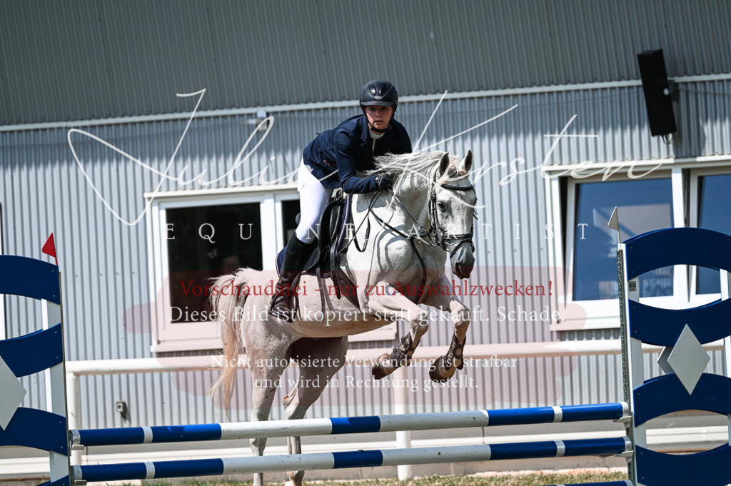 DSC_9239 | Pferde- und Turnierfotografie in Westsachsen. Pferdeportraits, Auftragszeichnungen und intuitive Kunst.