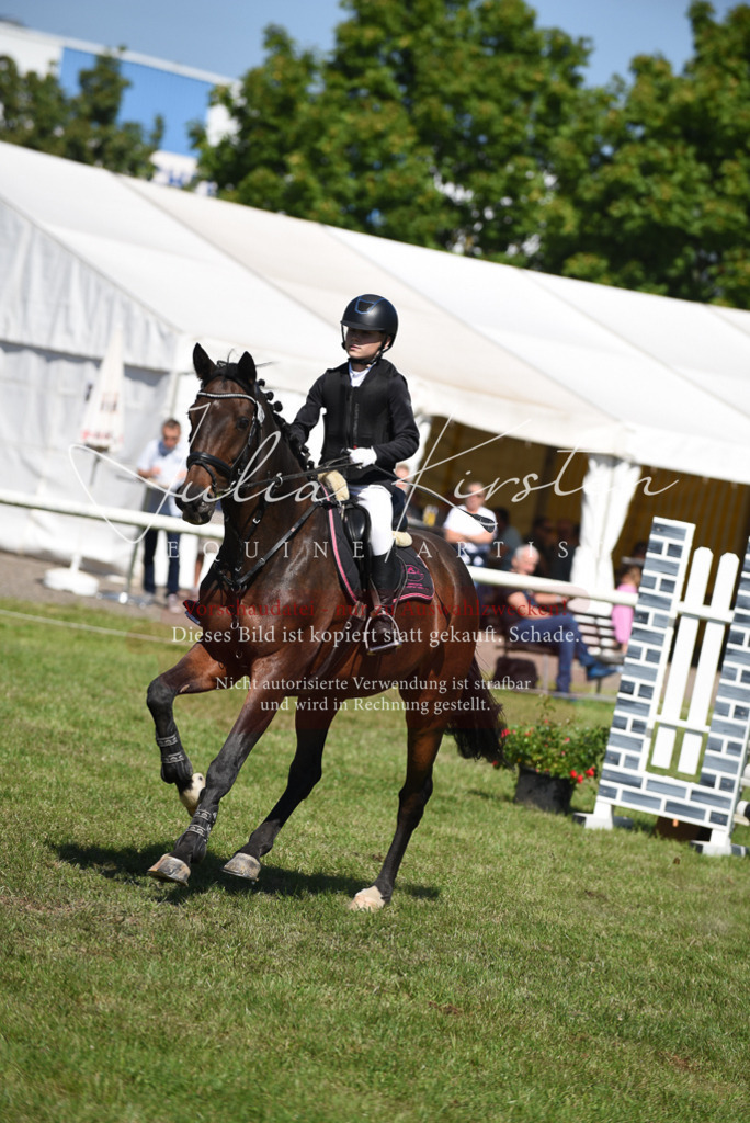 DSC_9367 | Pferde- und Turnierfotografie in Westsachsen. Pferdeportraits, Auftragszeichnungen und intuitive Kunst.