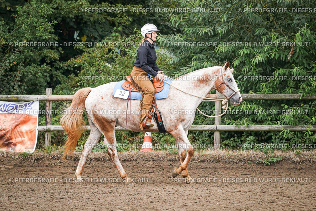 DSC01974 | Pferdegrafie