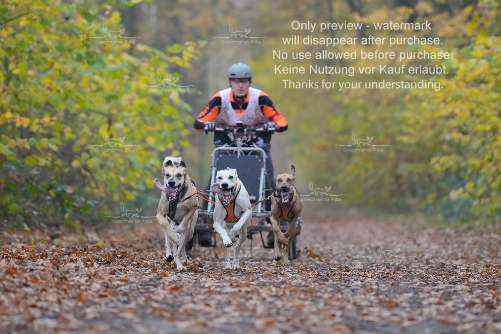 Rigs4bis8So-16 | stephaniefillaphotographie - Realisiert mit Pictrs.com