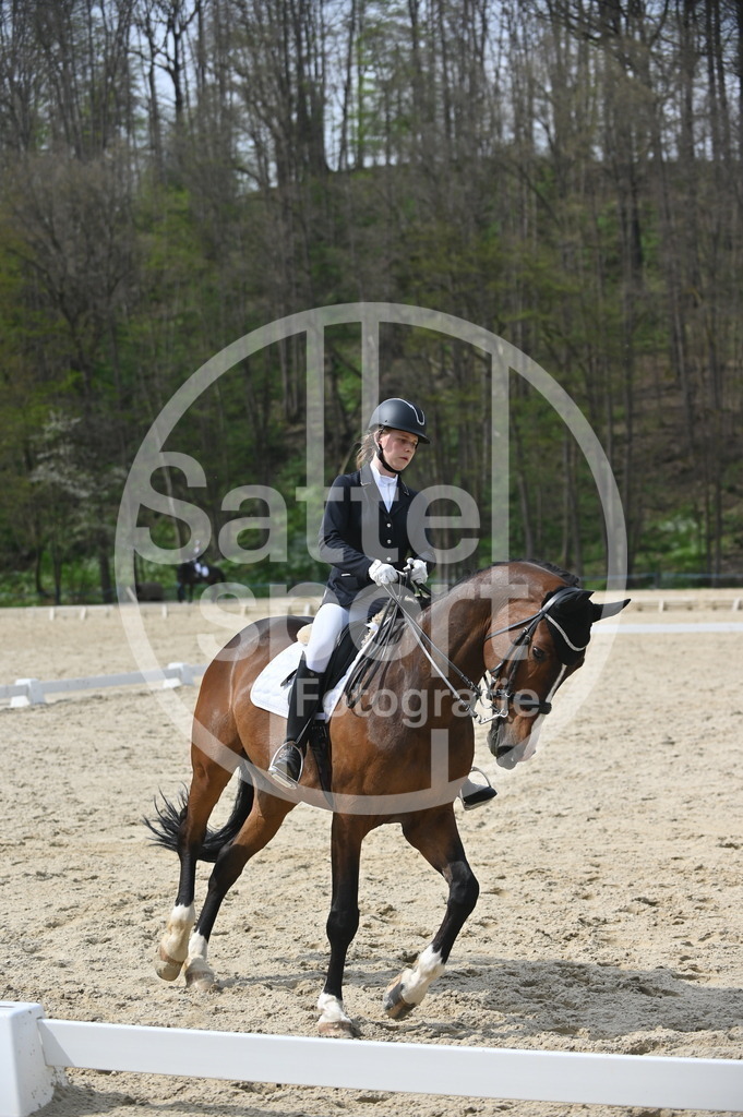 DSC_4195 | sattelsport - Realisiert mit Pictrs.com