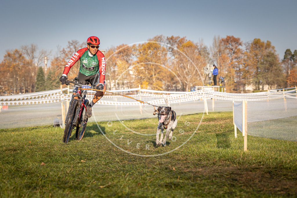 CaniXpix_0L8A4198 | Hundefotografie, Tierfotograf, Pfotenfotografie, Fotoshooting Hund, Hunde Portrait, Hundesport, Hundeportraits, Heideshooting, Hunde, Sportfotograf, Hundefotograf, Turnierhundsport, THS,  - Realisiert mit Pictrs.com