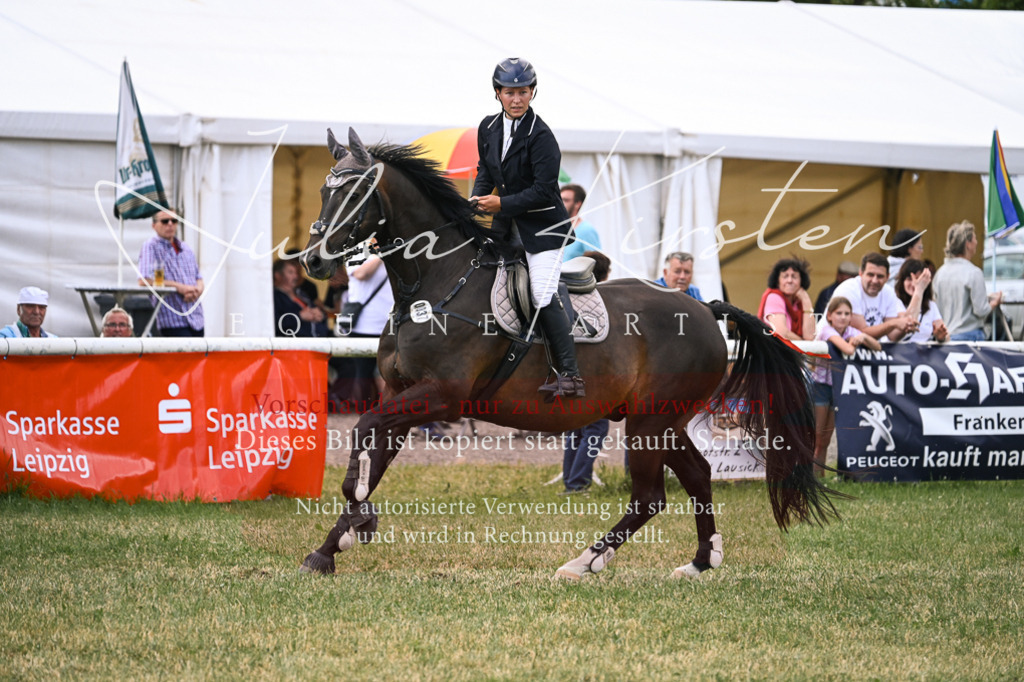 DSC_0869 | Pferde- und Turnierfotografie in Westsachsen. Pferdeportraits, Auftragszeichnungen und intuitive Kunst.