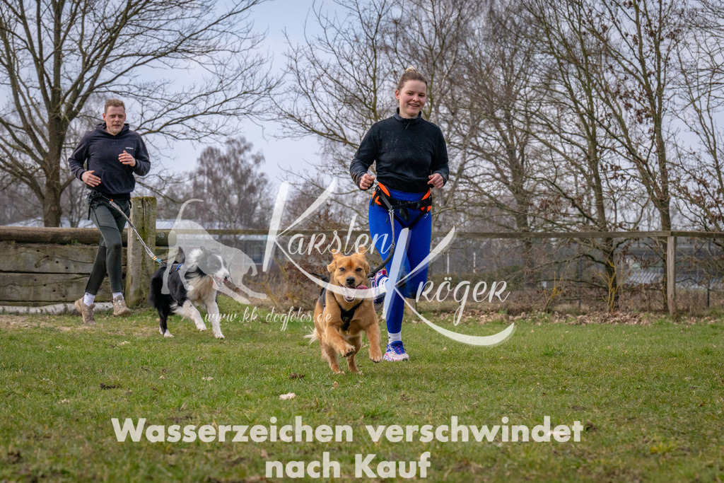 _ZZ91149 | kk-dogfotos