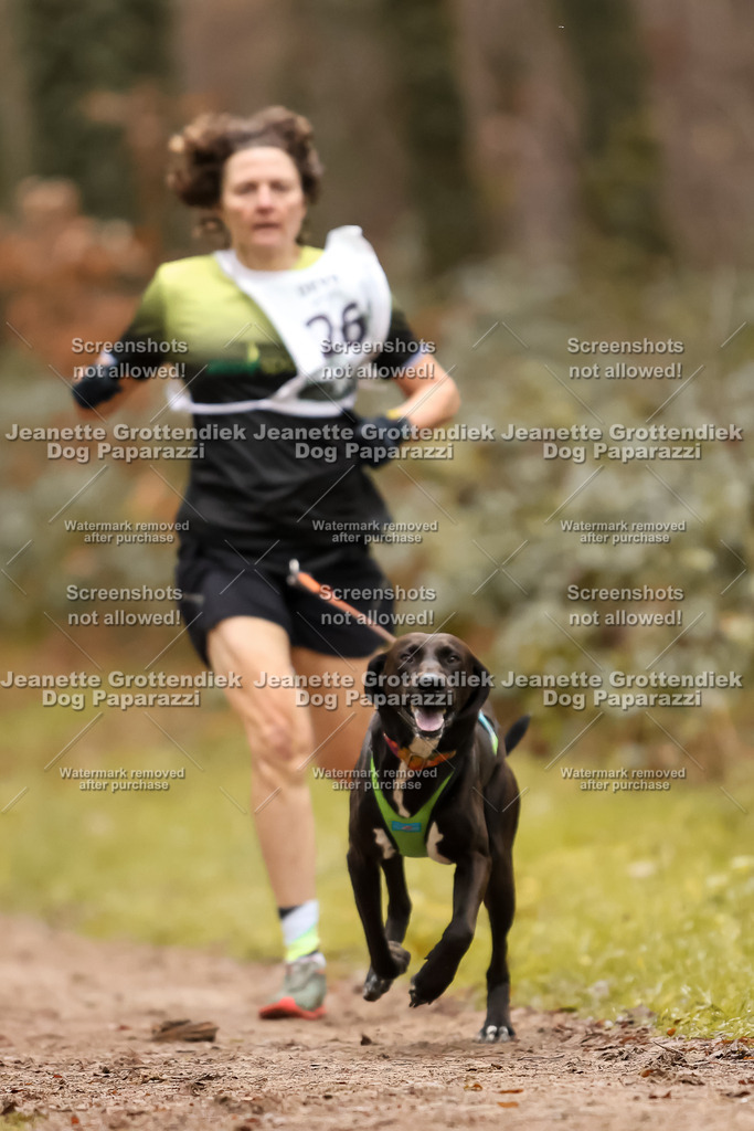Dog Paparazzi - Speedhunter Mannheim  2025-67 | Dog Paparazzi Jeanette Grottendiek Fotografie & Videografie