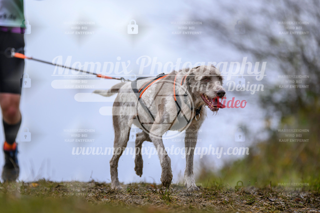 MompixPhotography_2OATB_SO_Run-46 | PayLife