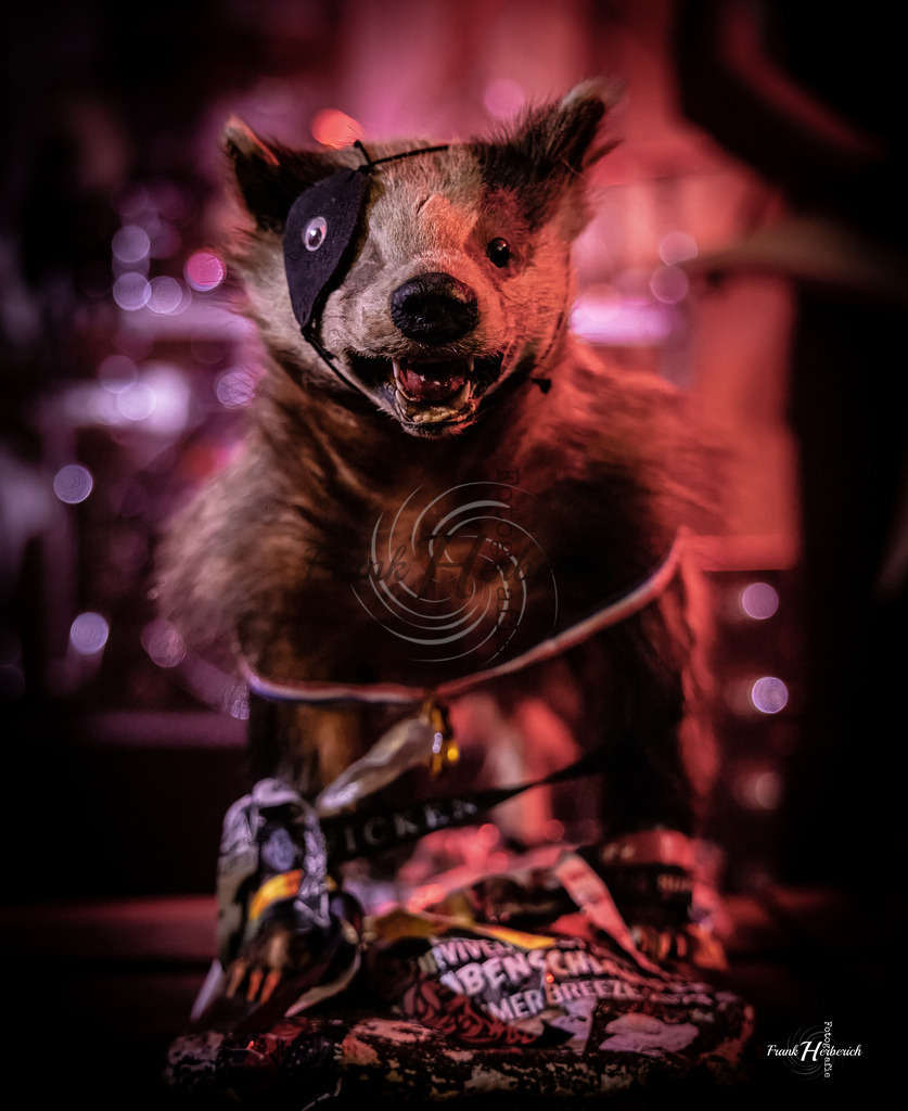 Audio Gun | Frank Herberich Fotografie, Frank Herberich, Fotografie, Hochzeit, Portrait, St. Peter Ording, Ording, Westerhever, Nordsee, Frank Fotografie, Hardheim,  Odenwald,Walldürn, Band,Eventfotografie - Realized with Pictrs.com