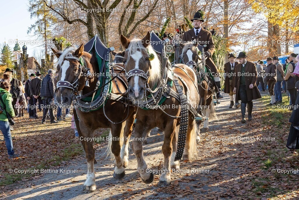 LBT25-982 | foto-bettina-krinner - Realisiert mit Pictrs.com