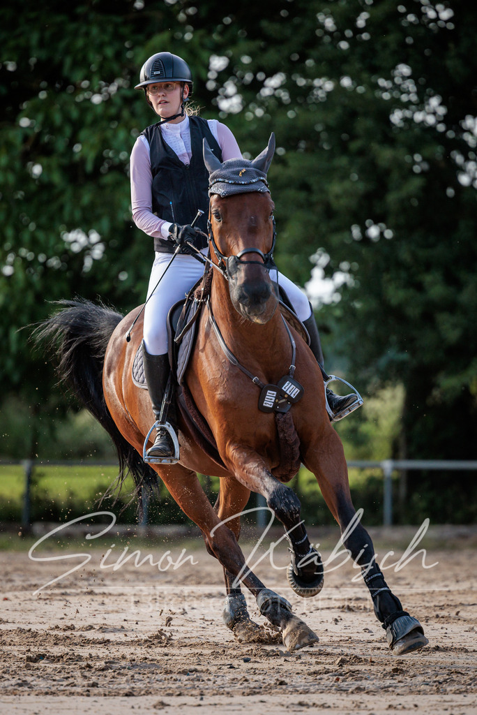 20260529-_3LI1061 | Tierfotografie Pferde, Hunde, Katzen, Haustiere.
Turnierfotografie Reitturniere, Reiten, Springreiten, Dressur in Hanau, dem Main-Kinzig-Kreis und dem Rhein-Main- Gebiet um Frankfurt