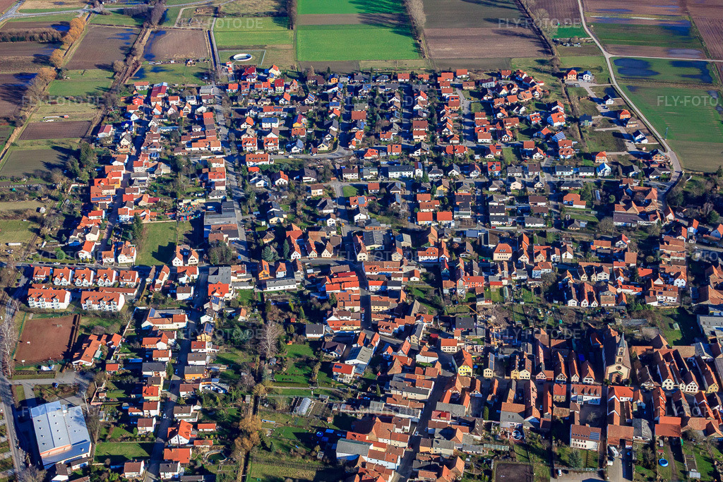 Luftbild: Ortsansicht von Westen in Zeiskam im Bundesland Rheinland-Pfalz in Deutschland. Foto: IMG_36986.jpg vom 16.01.2011 durch Werner Riehm/FLY-FOTO.de