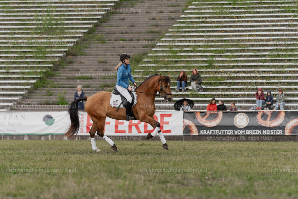 Showprogramm-286 | working equitationturnier fotograf videograf stoibphotography marixx film working equitation deutschland reitsport turnierfotografie eventfotografie equestrian events