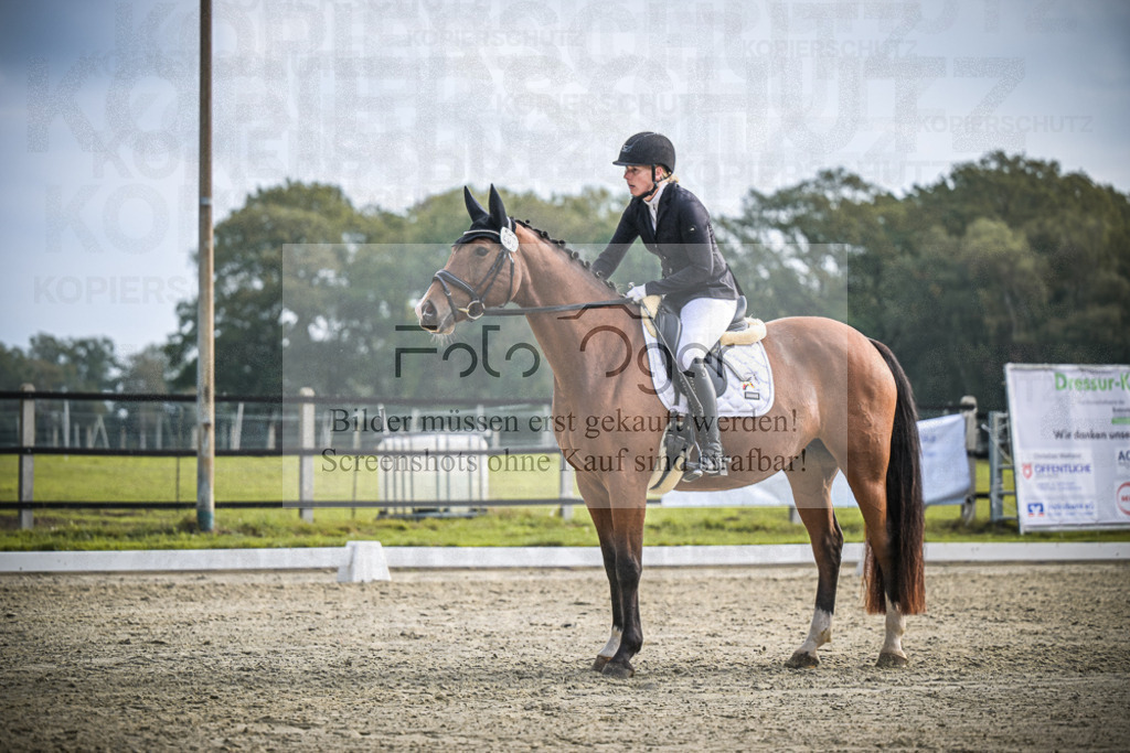 DOS_B216 | Entdecke hochwertige Reitturnierfotos von Foto Oger. Professionell, emotional und authentisch – jetzt Lieblingsmomente im Shop bestellen.Deutschlandweite Turnierfotografie. - Realisiert mit Pictrs.com