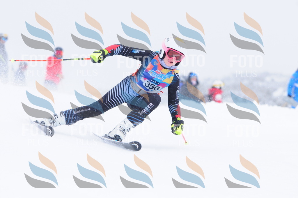 C3807 | holidayphoto