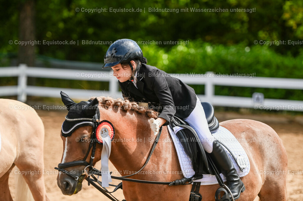 20230716_10-3_Reiter-WB Schritt - Trab - Galopp_0241 | equistock