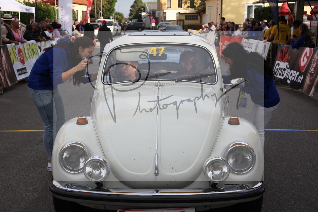 IMG_6379 | Gerhard Witt