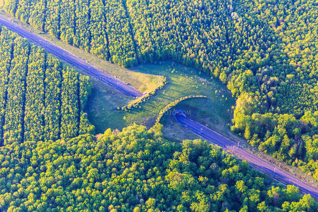 Aerial view: Wildlife bridge over the railway line in Loudrefing in the state Moselle, France. – Photo: IMG_146186.jpg taken on 05/01/2025 by Werner Riehm/FLY-FOTO.com – Resolution of the original: 5472 x 3648 px