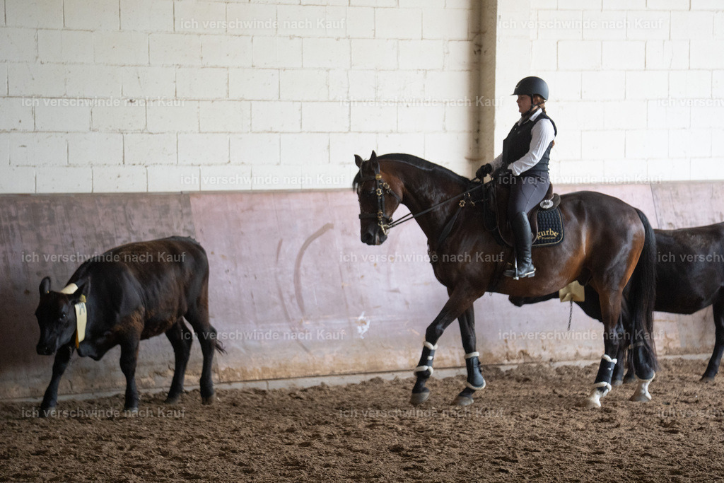 WL_COW_58_SinaFilmArt_IN03846 | working equitationturnier fotograf videograf stoibphotography marixx film working equitation deutschland reitsport turnierfotografie eventfotografie equestrian events