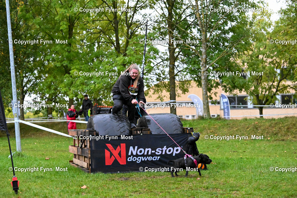DSC_0114 | Hallo und herzlich Willkommen auf meiner Shop-Seite Fynn Most.

Ich wünsche Dir viel Spaß beim stöbern durch die Bilder, wenn Du Fragen hast oder Bilder vermisst, kannst du mir gerne eine Nachricht schreiben. - Realized with Pictrs.com