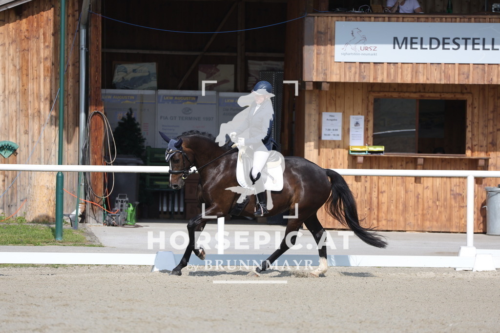 0P6A4542 | Willkommen bei Brunnmayr - Design & Fotografie – Ihrem Spezialisten für Reitturniere und Pferdeveranstaltungen in Oberösterreich, Salzburg und Bayern! Seit über 17 Jahren sind wir leidenschaftlich dabei.