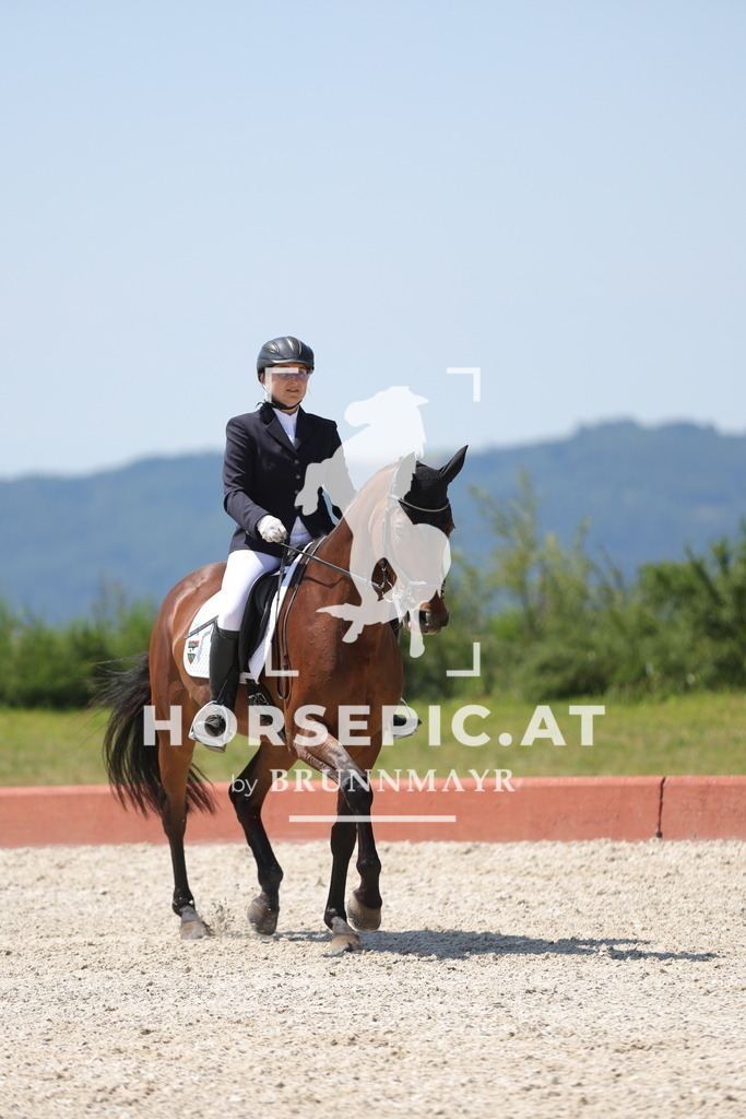 0P6A0993 | Willkommen bei Brunnmayr - Design & Fotografie – Ihrem Spezialisten für Reitturniere und Pferdeveranstaltungen in Oberösterreich, Salzburg und Bayern! Seit über 17 Jahren sind wir leidenschaftlich dabei.