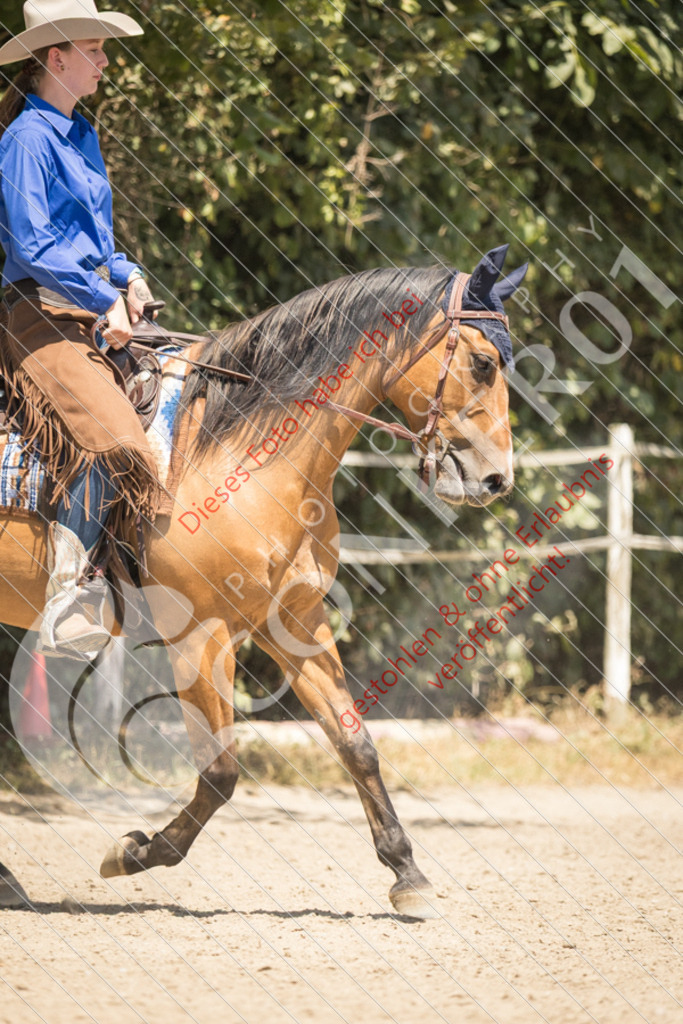 IMG_0462 | Sport-, Event- und Tierfotos in Profiqualität. Einfach auswählen, bestellen und herunterladen. Dein Moment – perfekt festgehalten.