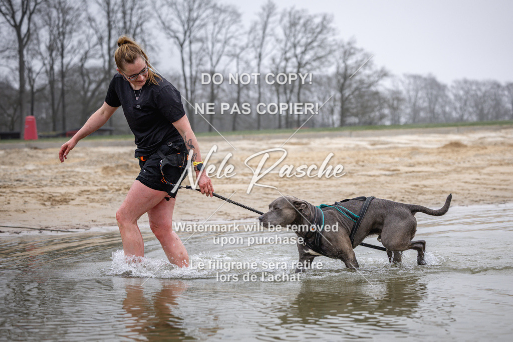 nelerasche_Hulsbeek_Sa0845-1030_314 | nelerasche