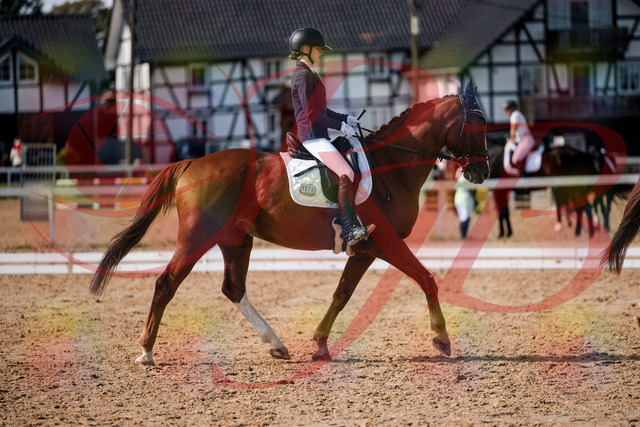 2026_10_03_Siefer-Hof_132800_Z63_87641020 | Professionelle Reitsport-, Turnier- und Eventfotografie von Robert Broda. Galerien mit ausgewählten und bearbeiteten Bildern direkt online ansehen und bestellen.