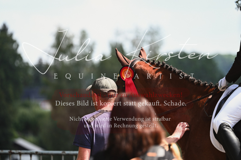 DSC_2834 | Pferde- und Turnierfotografie in Westsachsen. Pferdeportraits, Auftragszeichnungen und intuitive Kunst.